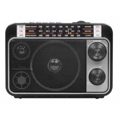 Ritmix RPR-171
