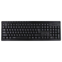 Qumo Paragraph